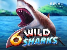 6 Wild Sharks